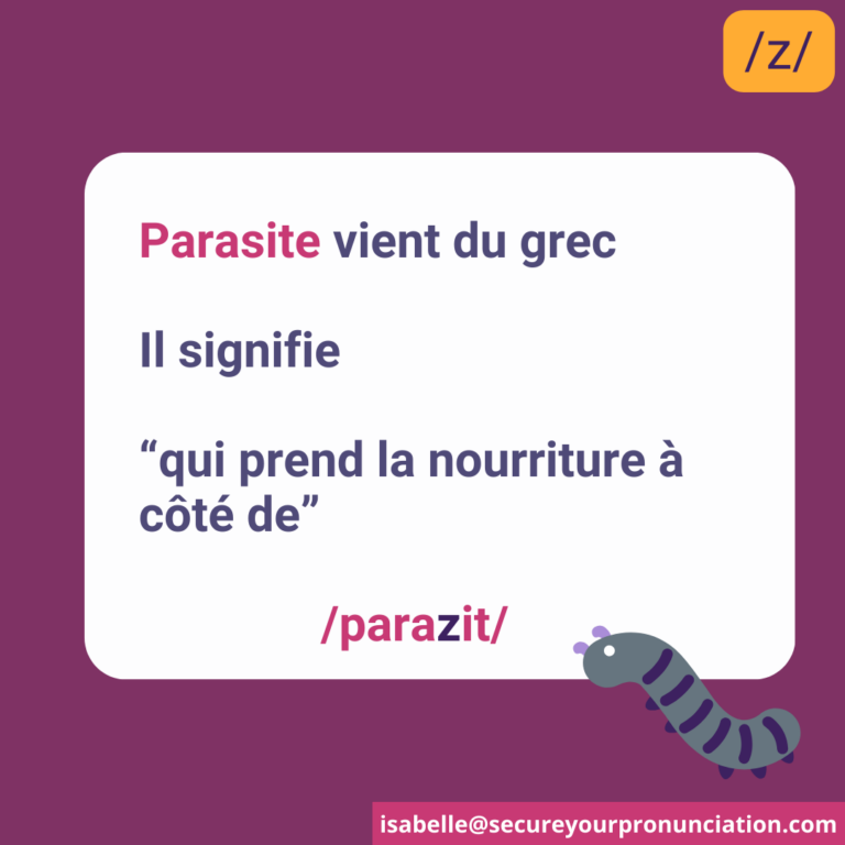 Professeur de diction française